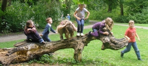 Kinder turnen auf einem Baumstamm.