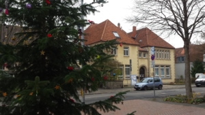 Im Vordergrund steht ein geschmückter Weihnachtsbaum. Im Hintergrund sieht man eine Straße. An der Straße parken Autos.
